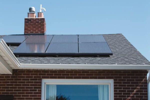 LOCAL PEST CONTROL, Hertfordshire, Bedfordshire, Essex & London. Services: Solar Panel Bird Proofing. Protect Your Solar Panels from Birds with Expert Bird Proofing Services